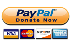 paypal donate now